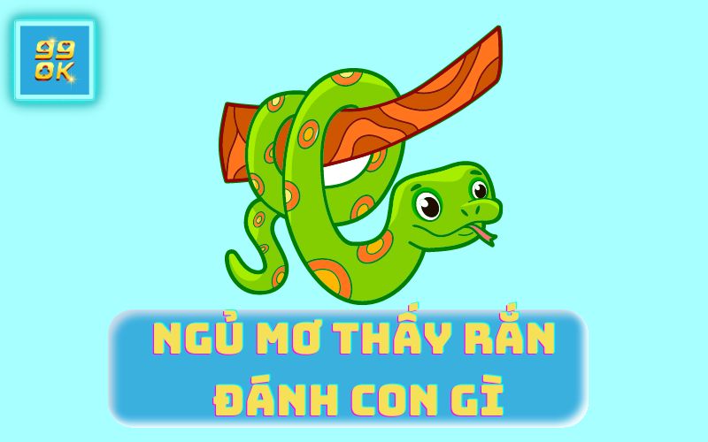 NGỦ MƠ THẤY RẮN ĐÁNH CON GÌ